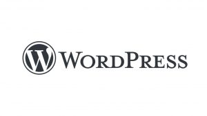 wordpress review